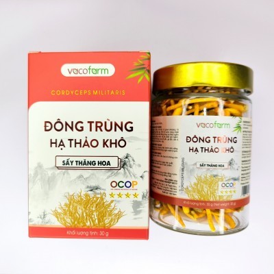 ĐÔNG TRÙNG HẠ THẢO SẤY THĂNG HOA HỘP THỦY TINH 30GRAM