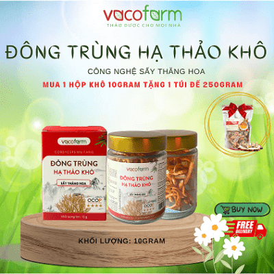 ĐÔNG TRÙNG HẠ THẢO SẤY THĂNG HOA Lọ khô 10gram thủy tinh