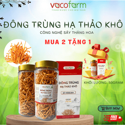 ĐÔNG TRÙNG HẠ THẢO SẤY THĂNG HOA HỘP THỦY TINH 50GRAM