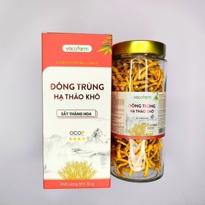 ĐÔNG TRÙNG HẠ THẢO SẤY THĂNG HOA HỘP THỦY TINH 50GRAM