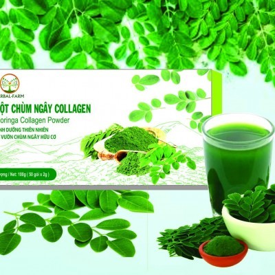  BỘT CHÙM NGÂY COLLAGEN 100G 