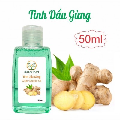 2 Tinh dầu Gừng nguyên chất (Ginger) 50ml tặng 1 thỏi son môi