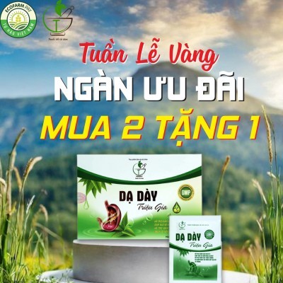 DẠ DÀY TRIỆU GIA 