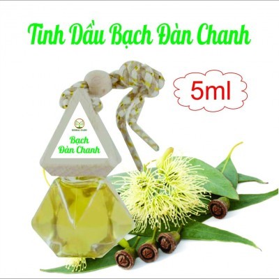 2 Tinh Dầu Treo Xe  hương Bạc Hà tặng 1 lọ tinh dầu 10ml