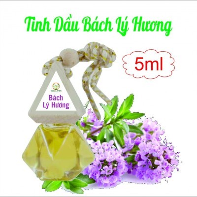 2 Tinh Dầu Treo Xe  hương Bạc Hà tặng 1 lọ tinh dầu 10ml