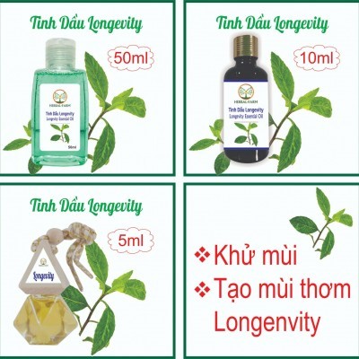 2 Tinh dầu Longevity 50ml tặng 1 thỏi son môi