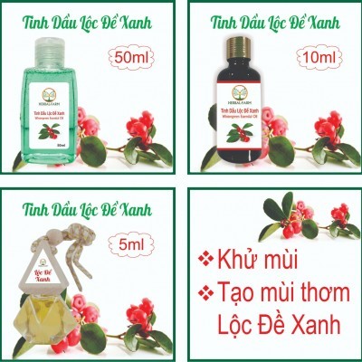 Tinh dầu Lộc đề xanh thiên nhiên 50ml 