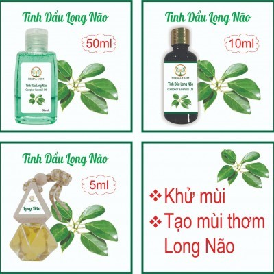 Tinh dầu Long Não thiên nhiên 50ml