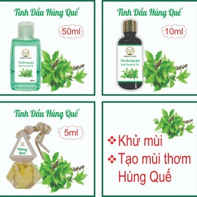 Tinh dầu Húng Quế thiên nhiên 50ml