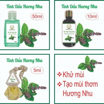 Tinh dầu Hương nhu thiên nhiên 50ml 