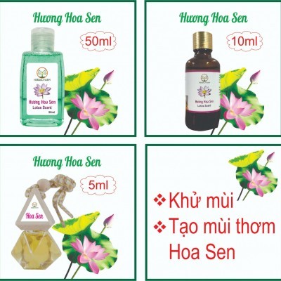 Tinh dầu hoa sen nguyên chất (Lotus) 50ml