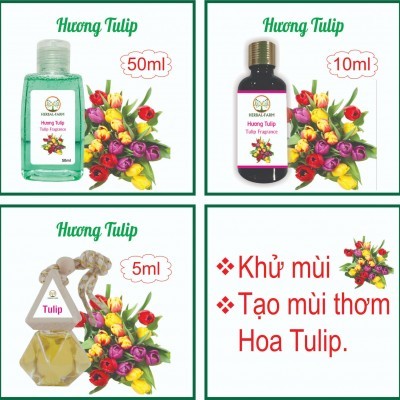 Tinh dầu Hương Tulip thiên nhiên 50ml 