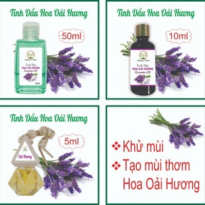 Tinh dầu Oải hương thiên nhiên (Lavender) 50ml 