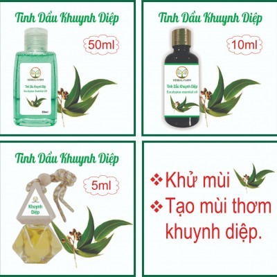 2 Tinh dầu Khuynh Diệp thiên nhiên (Eucalyptus) 50ml tặng 1 thỏi son môi