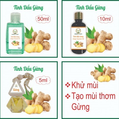 2 Tinh dầu Gừng nguyên chất (Ginger) 50ml tặng 1 thỏi son môi