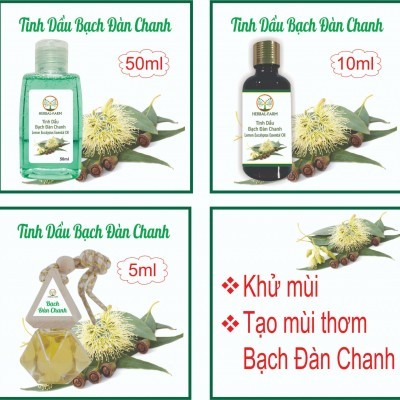 Tinh Dầu Bạch Đàn Chanh thiên nhiên 50ml