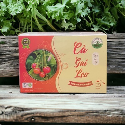 Trà Cà gai leo