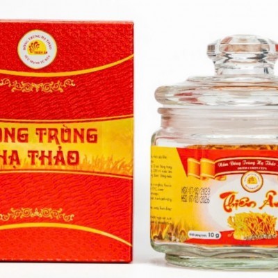 ĐÔNG TRÙNG HẠ THẢO KHÔ 10GAM