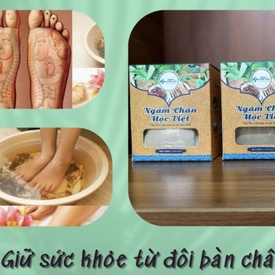 Ngâm Chân Mộc Việt 