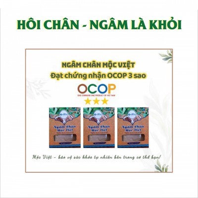 Ngâm Chân Mộc Việt 