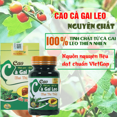 Cao cà gai leo 100g 