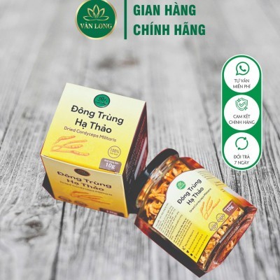 Đông trùng hạ thảo sấy thăng hoa 10g