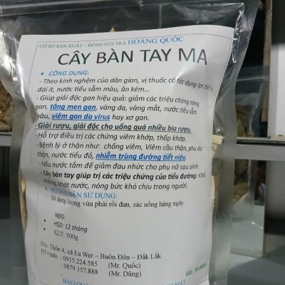 CÂY BÀN TAY MA