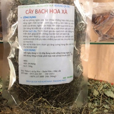 CÂY BẠCH HOA XÀ