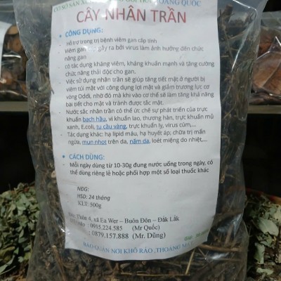 CÂY NHÂN TRẦN