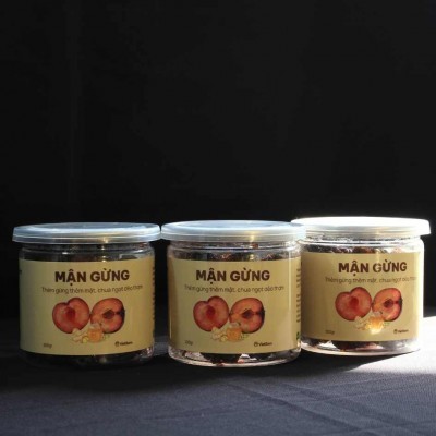 MẬN GỪNG MỘC CHÂU SẤY DẺO VIETBORN (HỘP 200G)