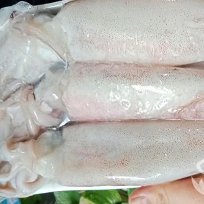 Mực Cao Cấp - 3 CON 1 KG