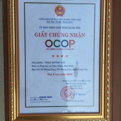 LONG NHÃN SẤY KHÔ đặt sản Hưng Yên OCOP 100g