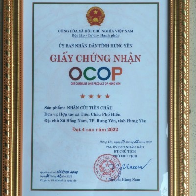 LONG NHÃN SẤY KHÔ đặt sản Hưng Yên OCOP 100g