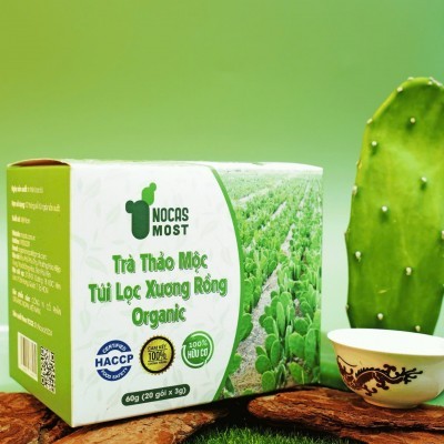 Trà thảo mộc túi lọc xương rồng Organic - NOCAS MOST - Hộp 60g