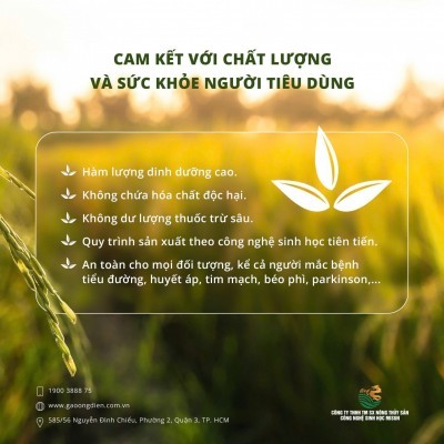 Gạo Ông Điền - Gạo Dinh Dưỡng Không Đường - Túi 5kg