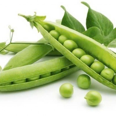 ĐẬU XANH ĐIỆN BIÊN 