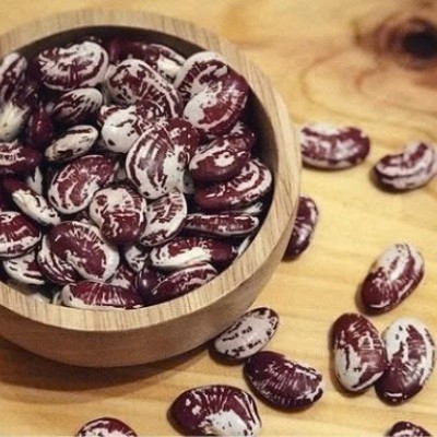 ĐẬU NGỰ ĐIỆN BIÊN 