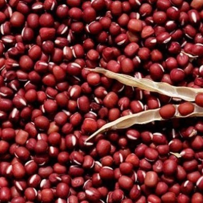 ĐẬU ĐỎ HẠT BÉ ĐIỆN BIÊN 