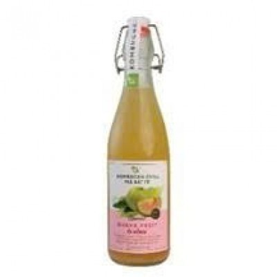 Vkombucha Chill trà bất tử 500ml Ổi Hồng