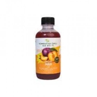Vkombucha Chill trà bất tử 250ml Mận (thủy tinh)