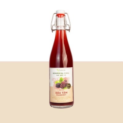Vkombucha Chill 500ml trà bất tử Dâu tằm