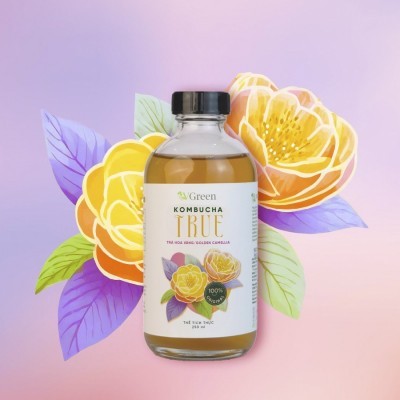 VKOMBUCHA TRUE TRÀ HOA VÀNG (GOLDEN CAMELLIA) 500ML chai thủy tinh: