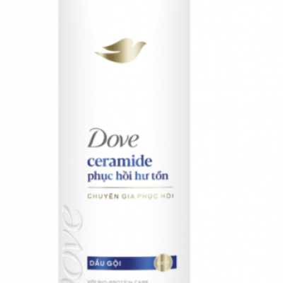Dầu gội Dove Ceramide phục hồi hư tổn 291ml