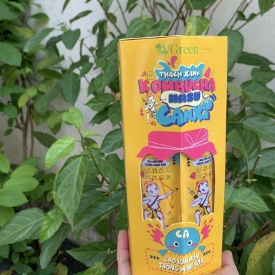 Thạch xanh Kombucha Hasu Canxi 525gr